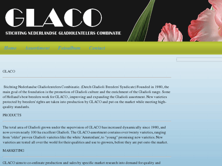 www.glaco.nl