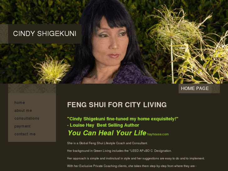 www.instinctualfengshui.com