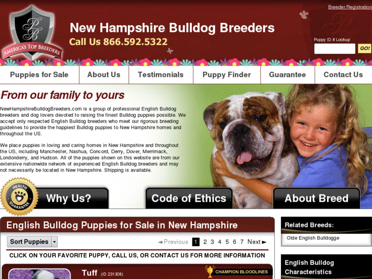 www.newhampshirebulldogbreeders.com