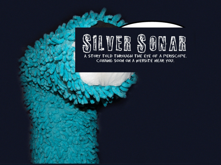 www.silversonar.com