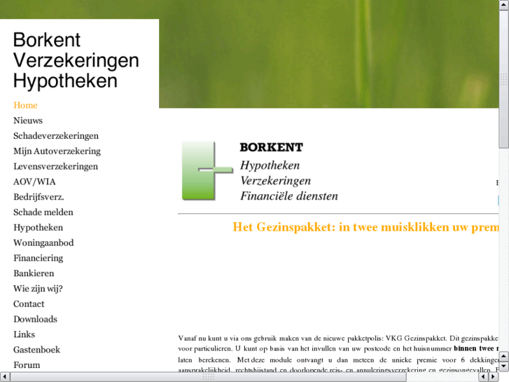 www.borkent.nl