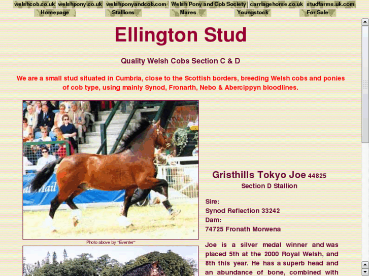 www.ellingtonstud.com