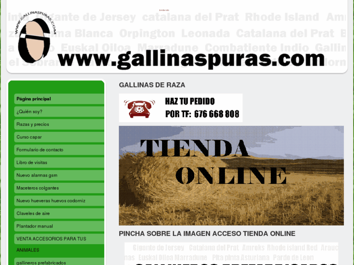 www.gallinaspuras.com