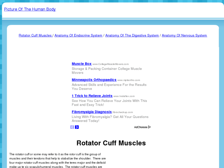 www.rotatorcuffmuscles.com