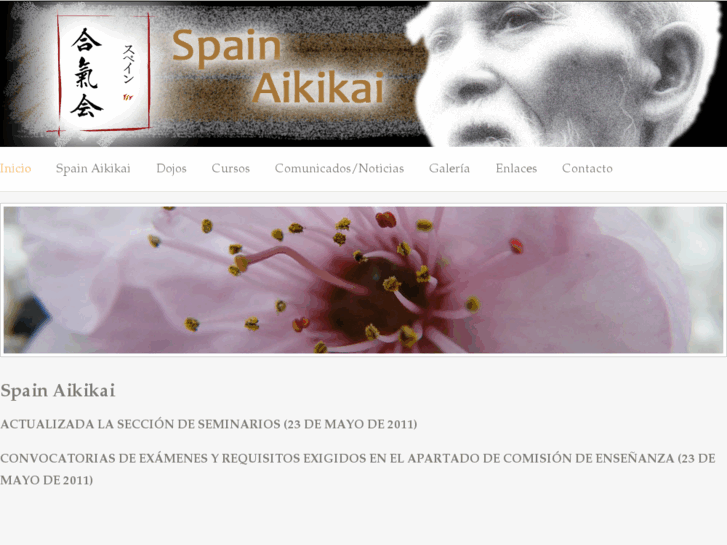 www.spainaikikai.es
