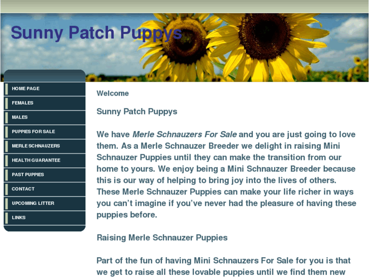 www.sunnypatchpuppys.com