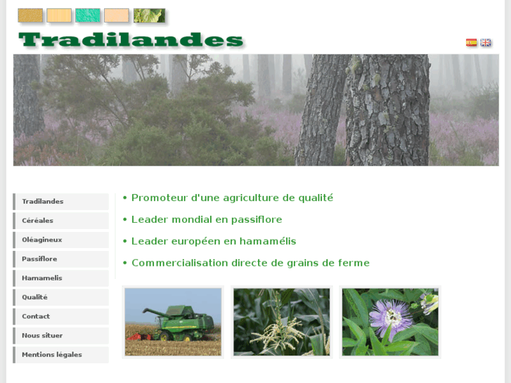 www.tradilandes.com