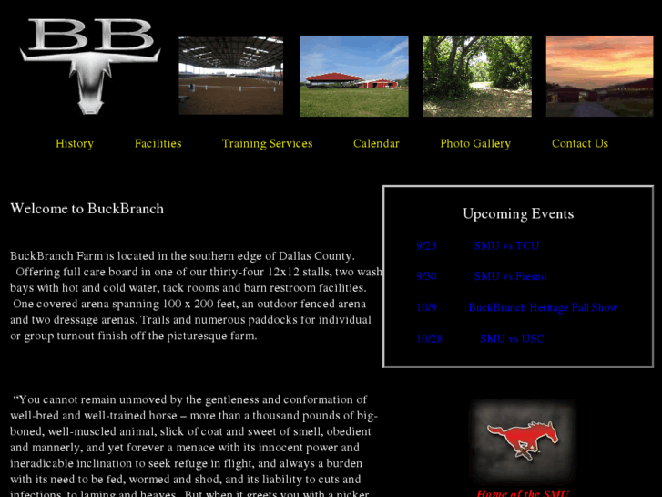 www.buckbranch.com