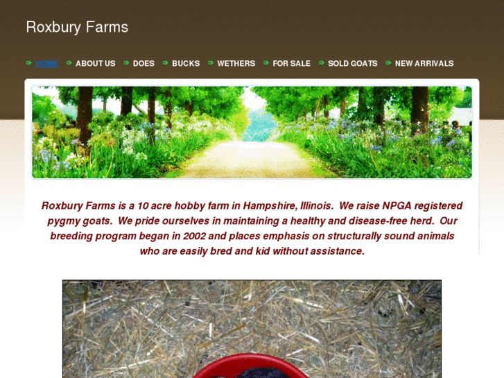 www.roxburyfarms.com