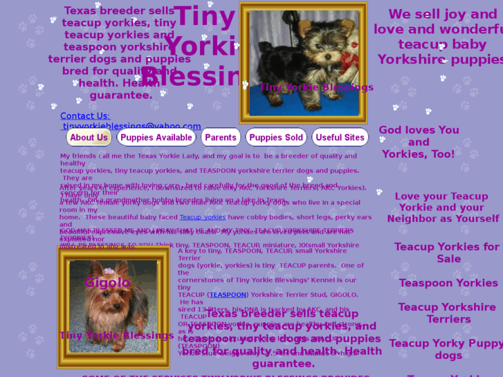 www.tinyyorkieblessings.com