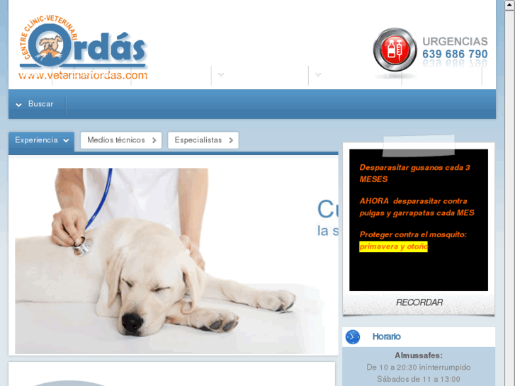 www.veterinariordas.com