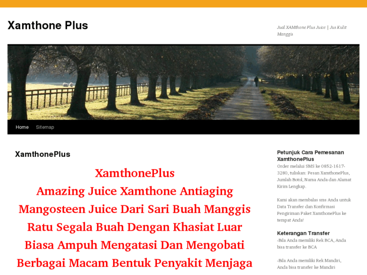 www.xamthoneplus.net
