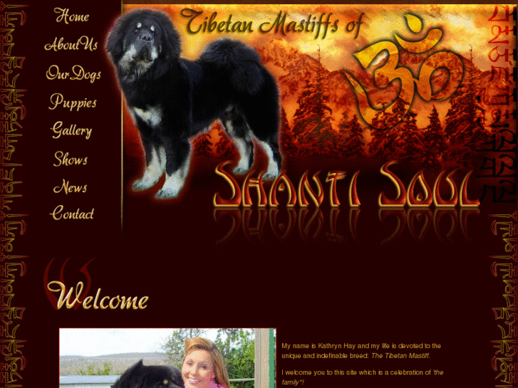 www.shantisoultibetanmastiffs.com