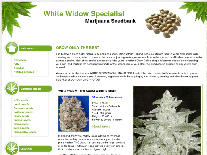 www.whitewidowspecialist.com