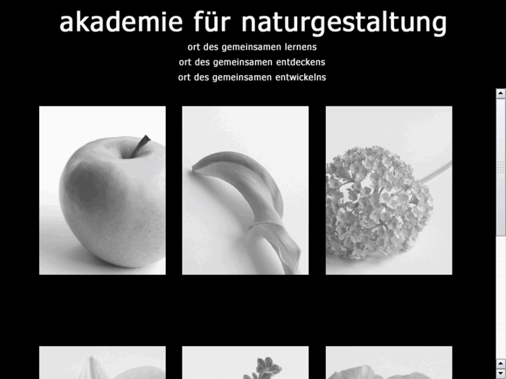 www.akademie-fuer-naturgestaltung.com