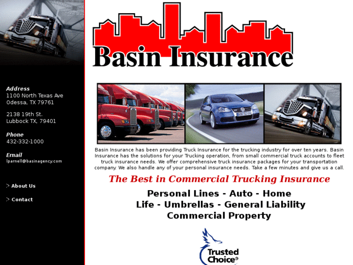 www.basininsuranceco.com