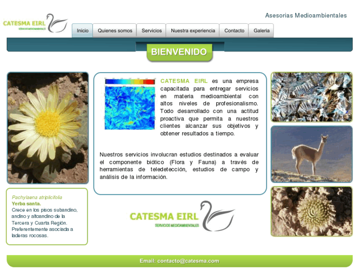 www.catesma.com