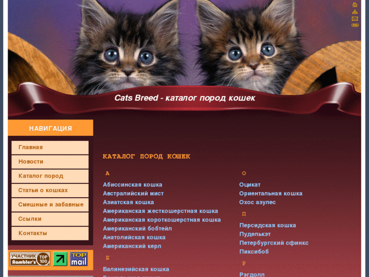 www.cats-breed.net