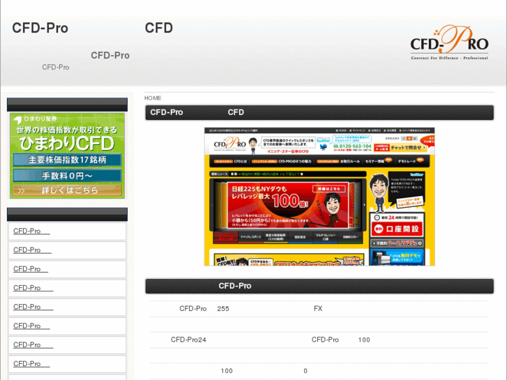 www.cfd-pro.info