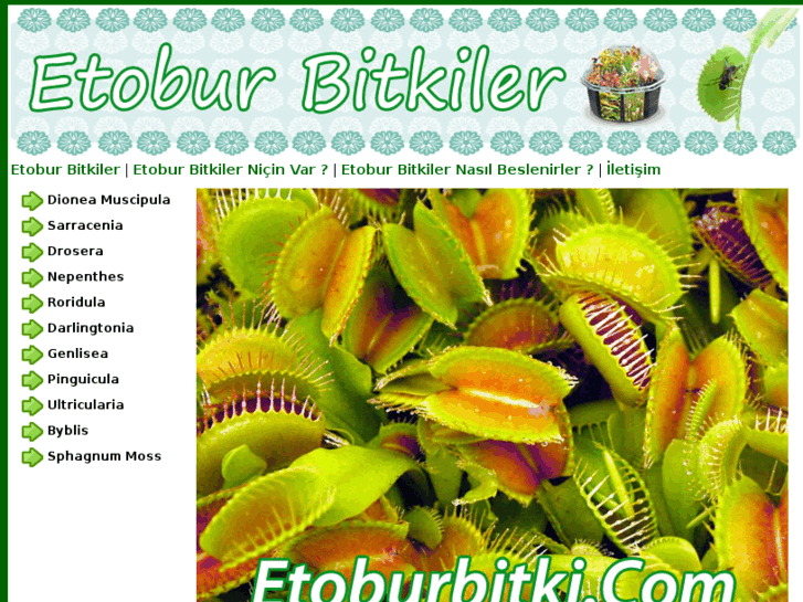 www.etoburbitki.com