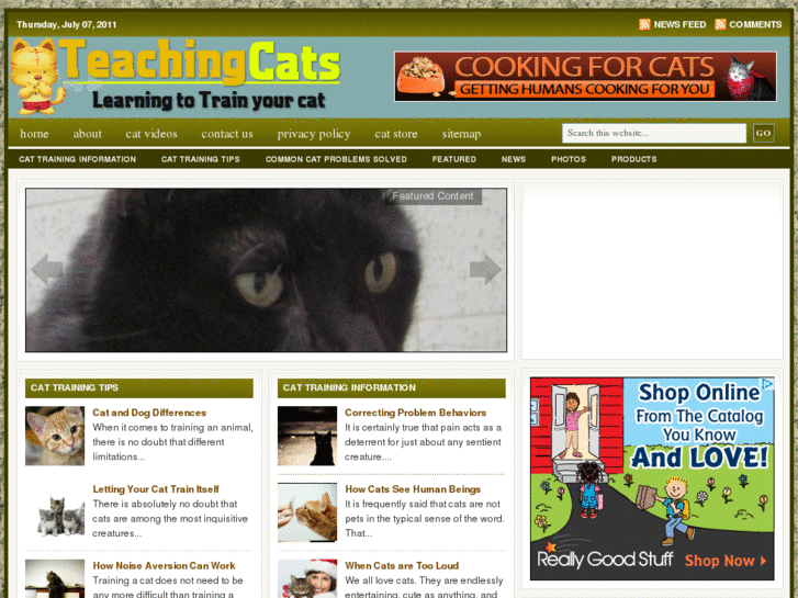 www.teachingcats.com