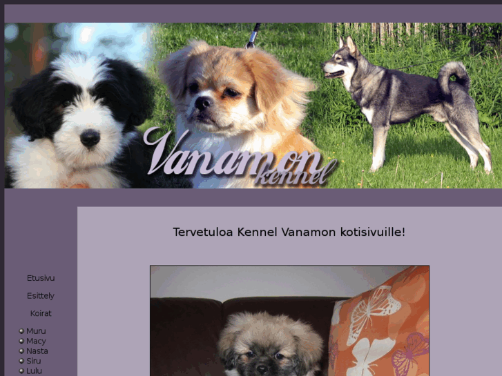 www.vanamon.net