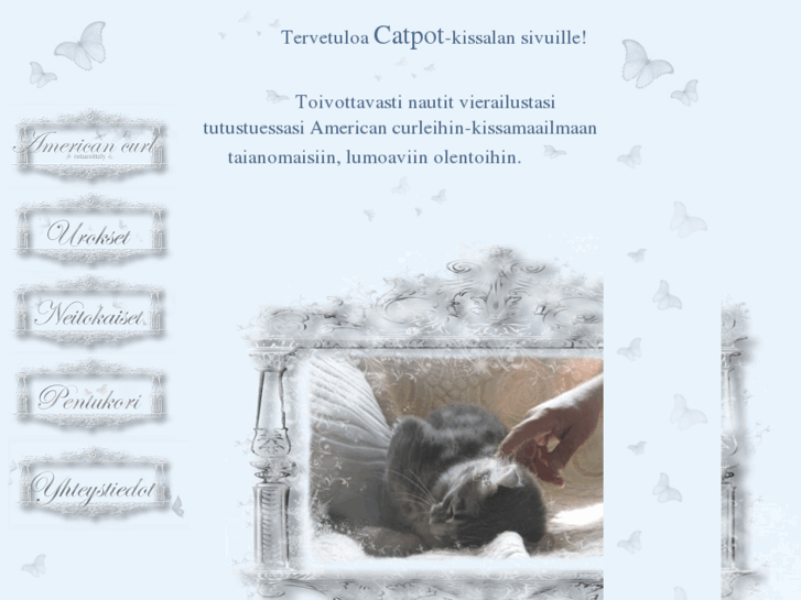 www.catpot.net