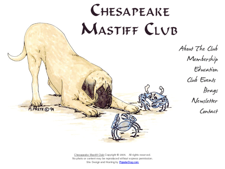 www.chesapeakemastiffclub.com