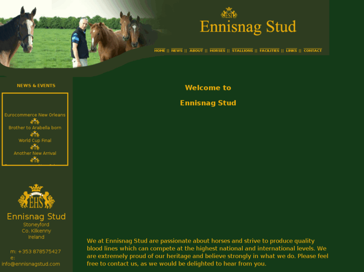 www.ennisnagstud.com