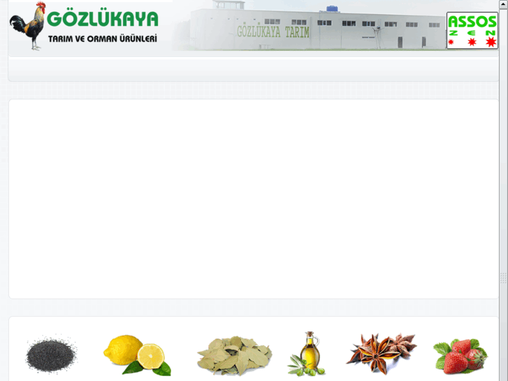 www.gozlukayagida.com