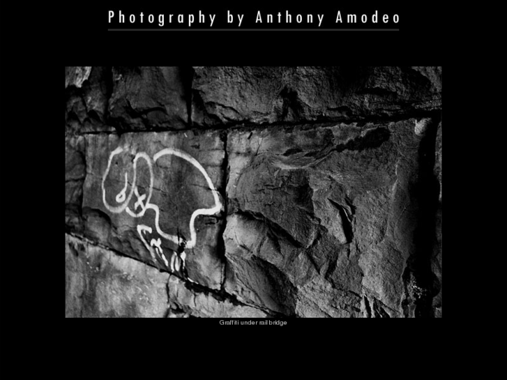 www.anthonyamodeo.net