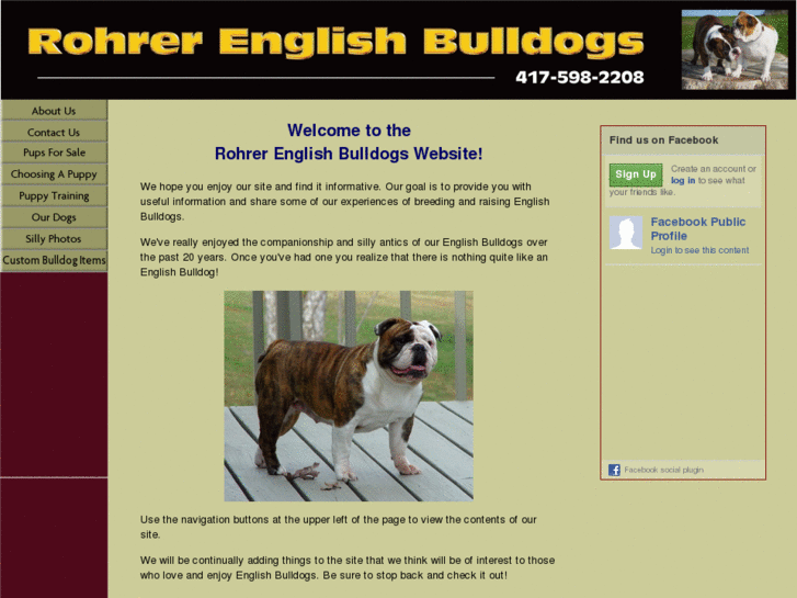 www.gr-english-bulldog-puppies.com