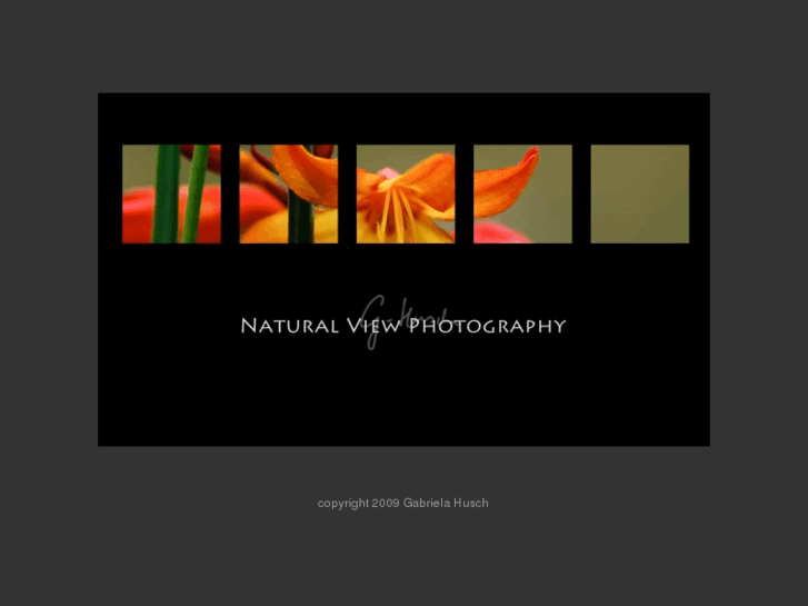 www.naturalviewphotography.com