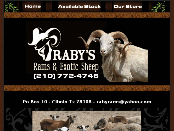 www.rabyrams.com