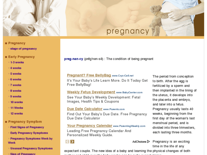 www.thepregnancyguide.info