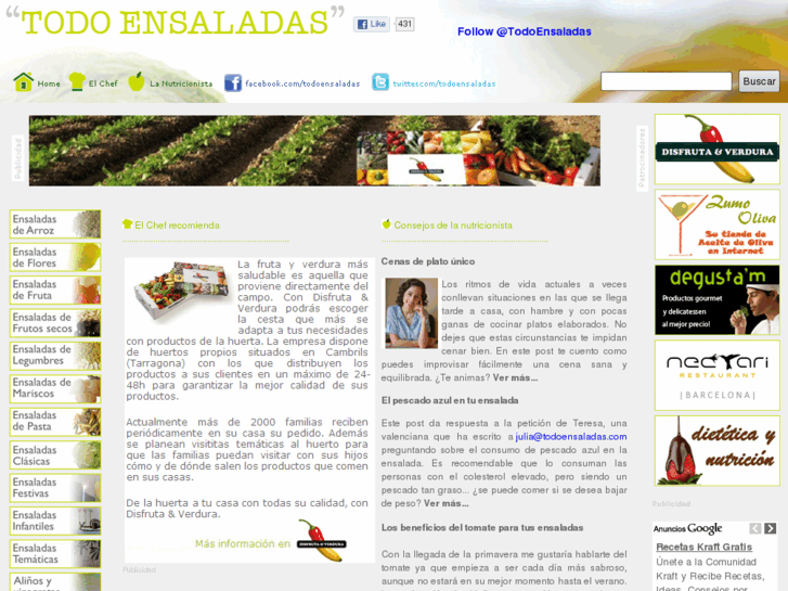 www.todoensaladas.com