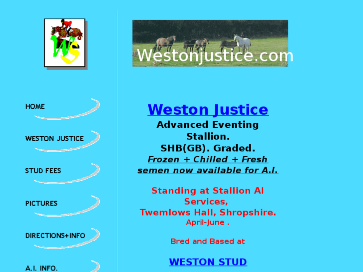 www.westonjustice.com