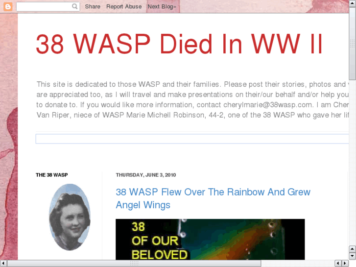 www.38wasp.com