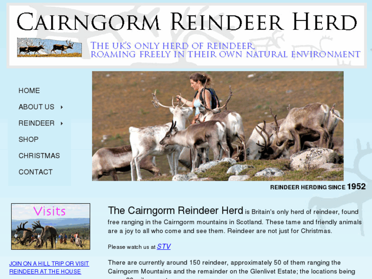 www.cairngormreindeer.com