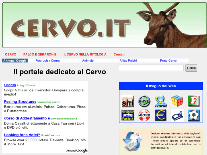 www.cervo.it