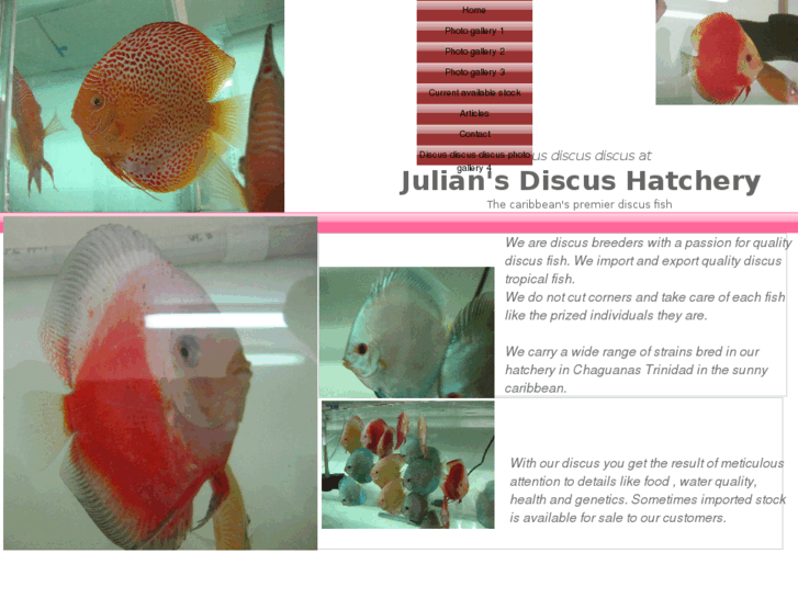 www.juliandiscus.com