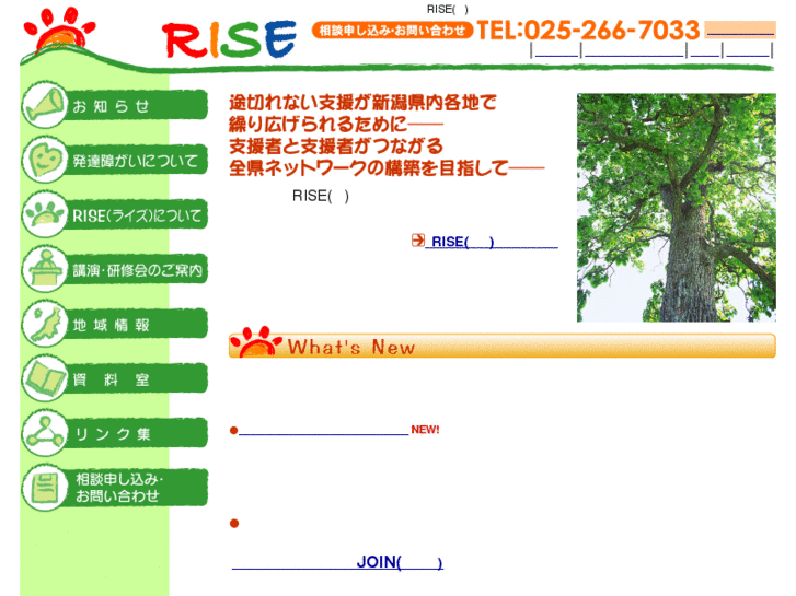 www.niigata-rise.net