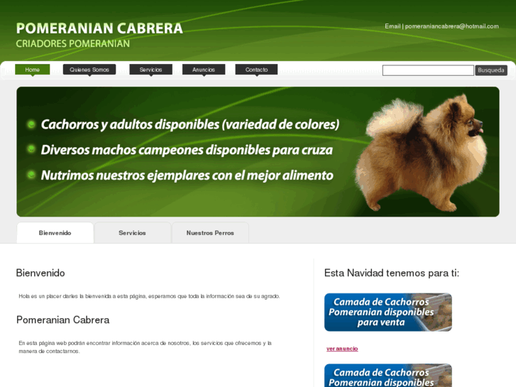 www.pomeraniancabrera.com