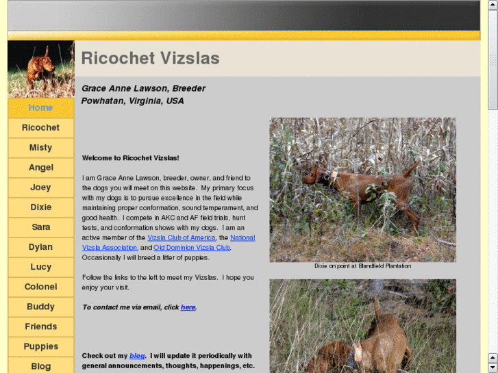 www.ricochetvizslas.com