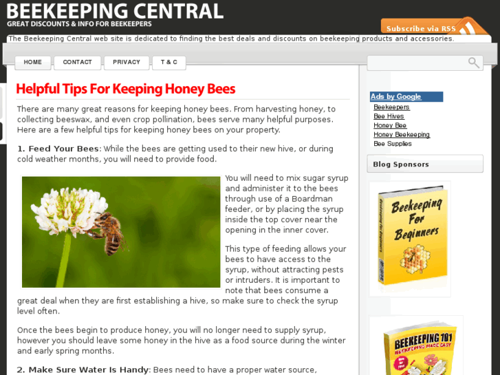 www.beekeepingsuperstar.com