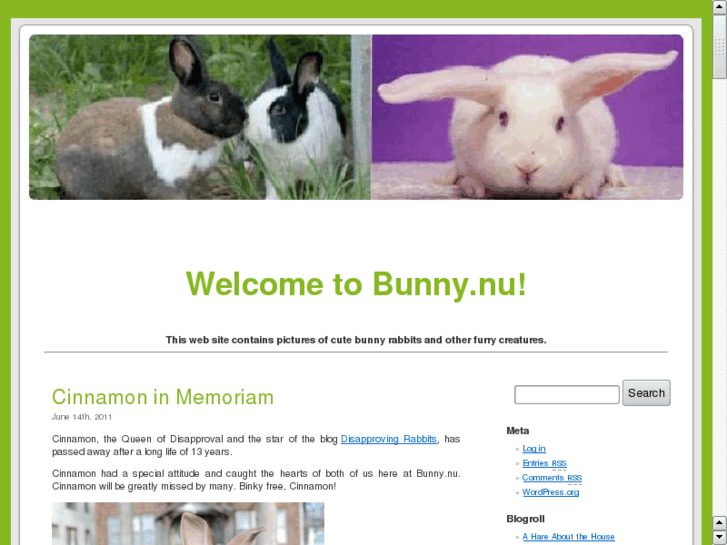 www.bunny.nu