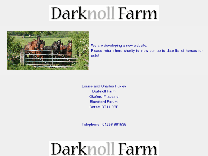 www.darknoll.com