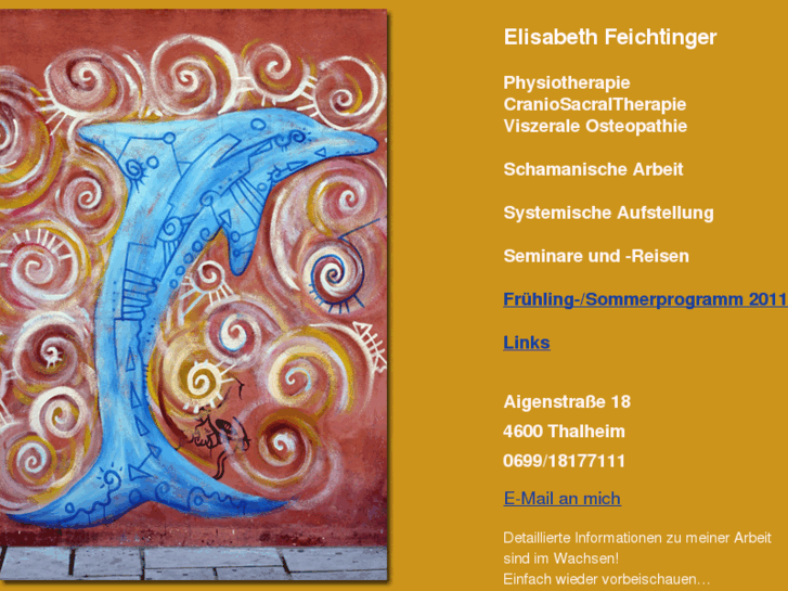 www.elisabethfeichtinger.com