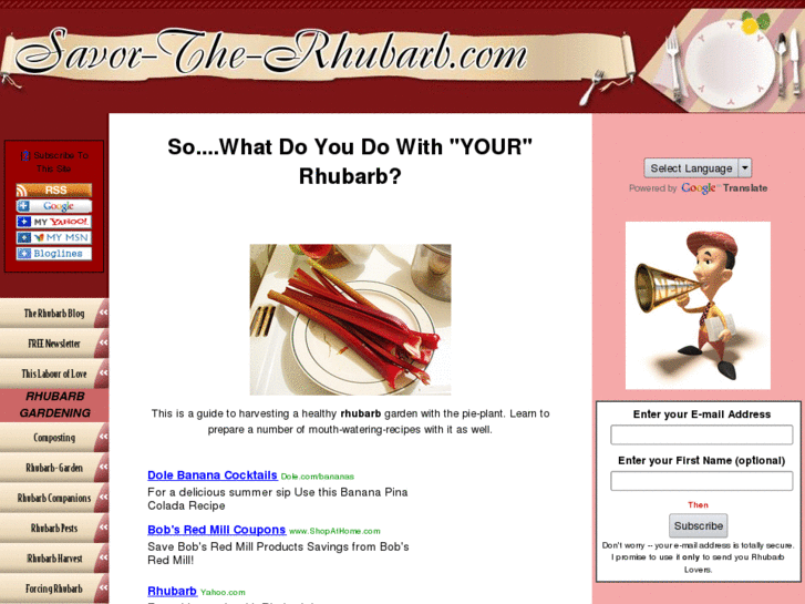 www.savor-the-rhubarb.com