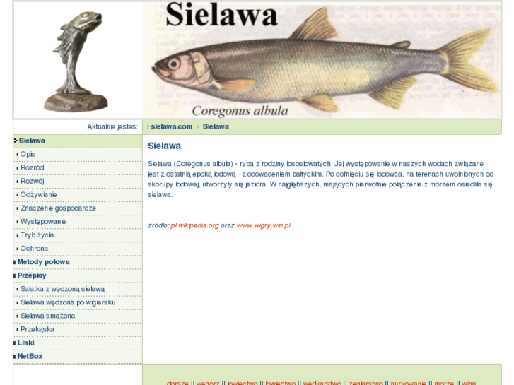 www.sielawa.com